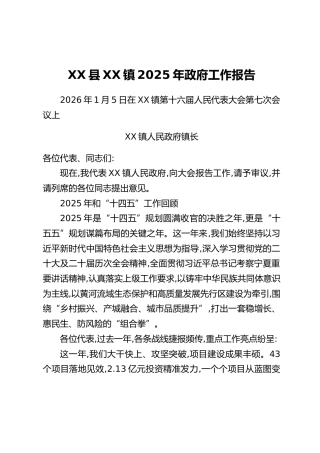 XX县XX镇2025年政府工作报告