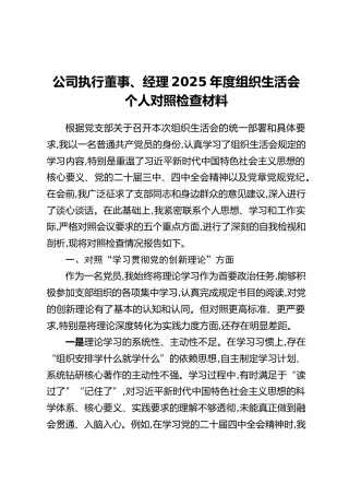 公司执行董事、经理2025年度组织生活会个人对照检查材料