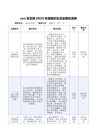2025年组织生活会班子及个人整改清单