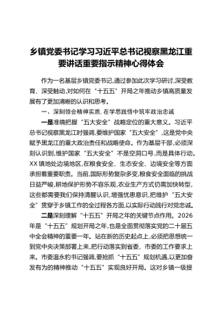 乡镇党委书记学习习近平总书记视察黑龙江重要讲话重要指示精神心得体会