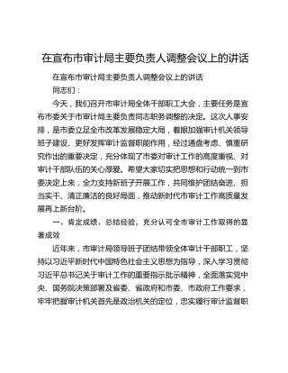 在宣布市审计局主要负责人调整会议上的讲话
