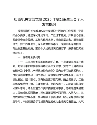 街道机关支部党员2025年度组织生活会个人发言提纲