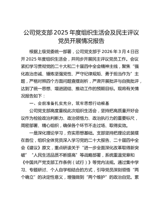 公司党支部2025年度组织生活会及民主评议党员开展情况报告