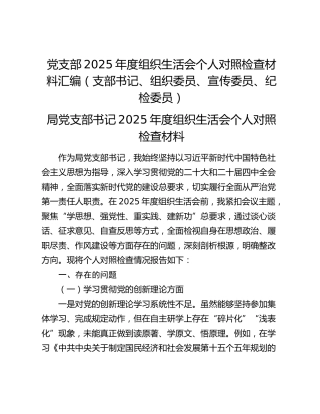 党支部2025年度组织生活会个人对照检查材料汇编（支部书记、组织委员、宣传委员、纪检委员）