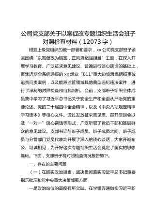 公司党支部关于以案促改专题组织生活会班子对照检查材料（