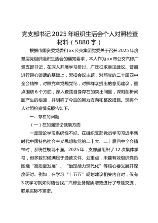 党支部书记2025年组织生活会个人对照检查材料