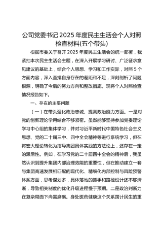 医药公司党委书记2025年度民主生活会个人对照检查材料(五个带头)
