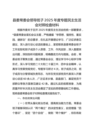 县委常委会领导班子2025年度专题民主生活会对照检查材料 (2)