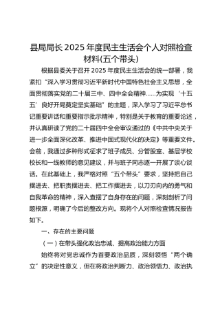 县局局长2025年度民主生活会个人对照检查材料(五个带头) (2)