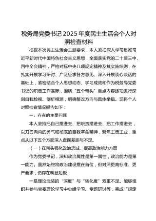税务局党委书记2025年度民主生活会个人对照检查材料