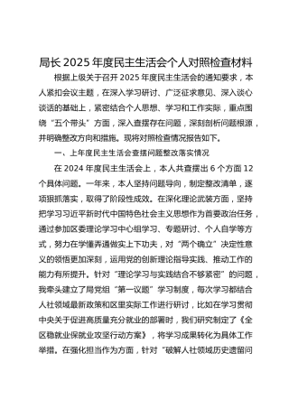 某局长2025年度民主生活会个人对照检查材料