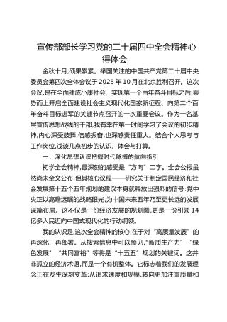 宣传部部长学习四中全会精神心得体会