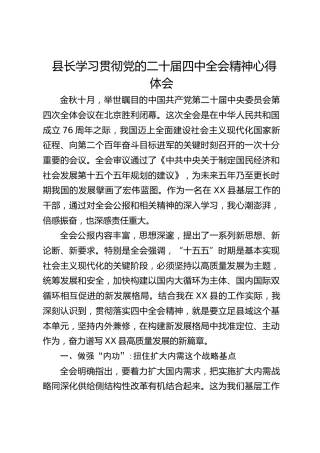县长学习贯彻四中全会精神心得体会