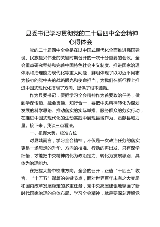 县委书记学习贯彻四中全会精神心得体会