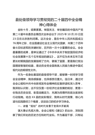 县处级领导学习贯彻四中全会精神心得体会