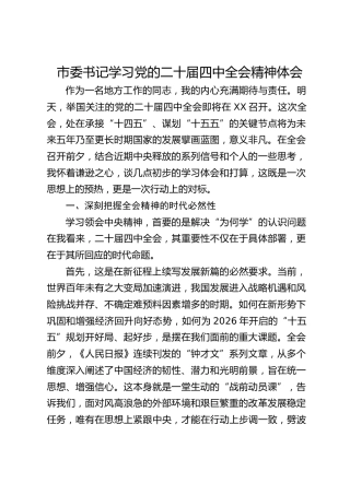 市委书记学习四中全会精神体会