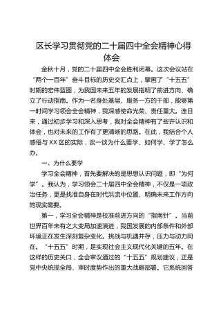 区长学习贯彻四中全会精神心得体会