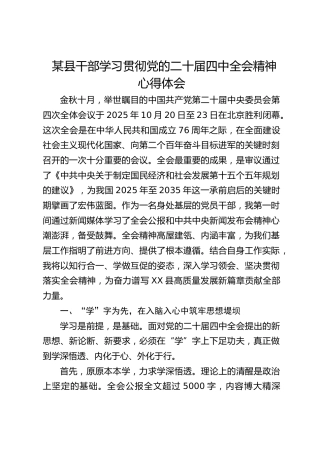 某县干部学习贯彻四中全会精神心得体会