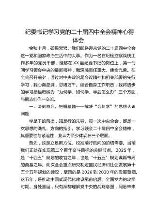 纪委书记学习四中全会精神心得体会