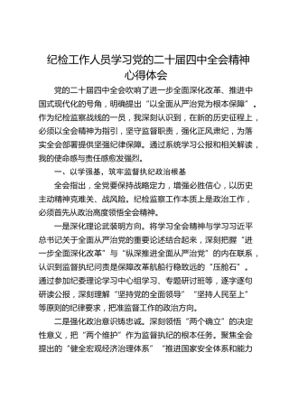 纪检工作人员学习四中全会精神心得体会