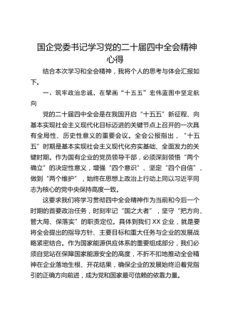 国企党委书记学习四中全会精神心得