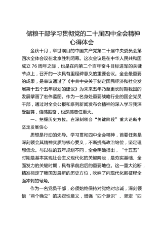 储粮干部学习贯彻四中全会精神心得体会