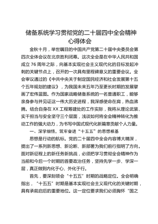 储备系统学习贯彻四中全会精神心得体会