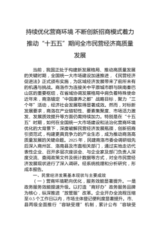 持续优化营商环境不断创新招商模式着力推动“十五五”期间全市民营经济高质量发展