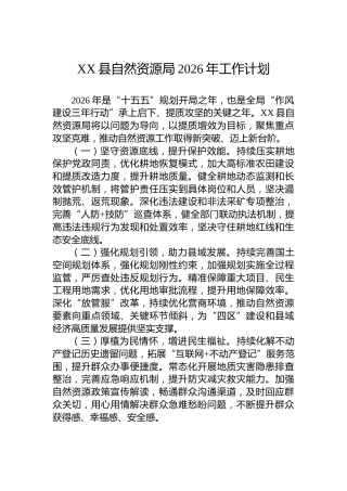XX县自然资源局2026年工作计划