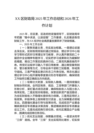 XX区财政局2025年工作总结和2026年工作计划