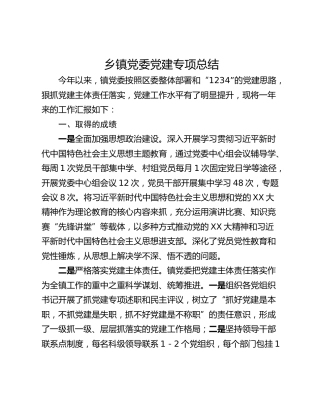乡镇党委党建专项总结