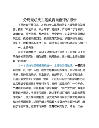 分局党总支主题教育自查评估报告