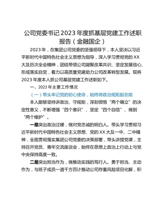 公司党委书记2023年度抓基层党建工作述职报告（金融国企）