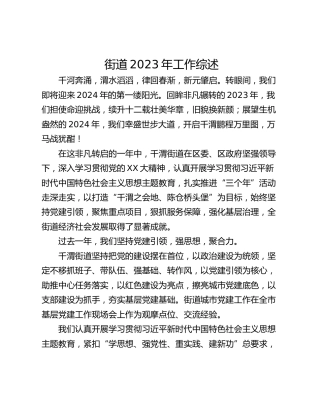 街道2023年工作综述
