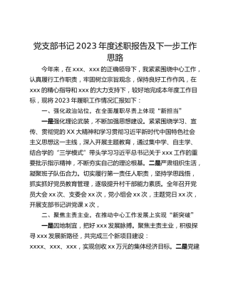 党支部书记2023年度述职报告及下一步工作思路