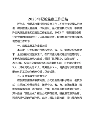 2023年纪检监察工作总结