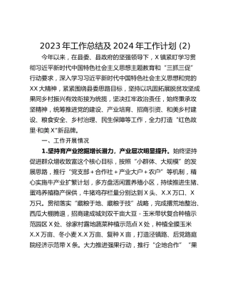 2023年工作总结及2024年工作计划 (2)