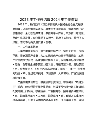 2023年工作总结暨2024年工作谋划