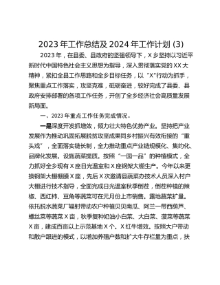 2023年工作总结及2024年工作计划 (3)