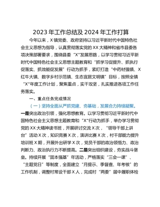 2023年工作总结及2024年工作打算