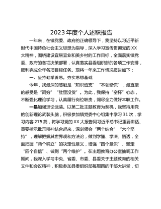 2023年度个人述职报告