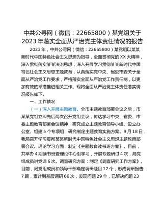 中共某某某某党组关于2023年落实全面从严治党主体责任情况的报告