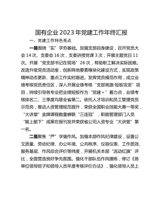 国有企业2023年党建工作年终汇报