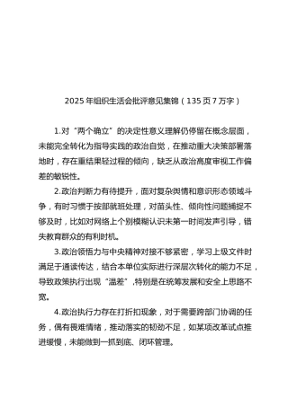 2025年组织生活会批评意见汇编（135页7万字）