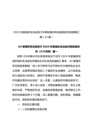 2025年度组织生活会班子对照检查材料检视剖析发言提纲汇编【22篇222页11万字】
