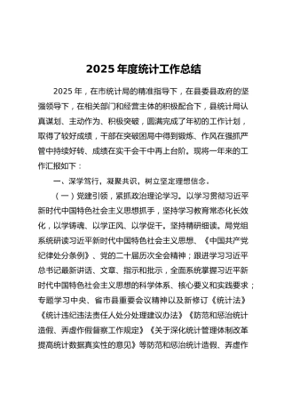 2025年度统计工作总结