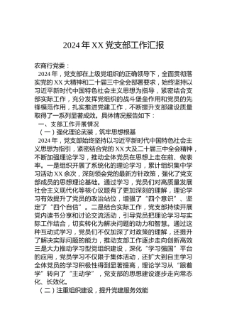 2024年XX党支部工作汇报