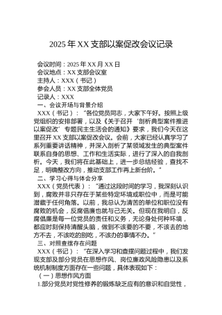 2025年XX支部以案促改会议记录