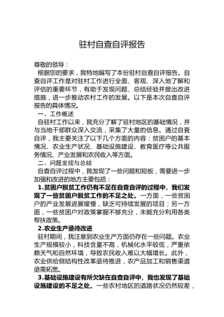 驻村自查自评报告