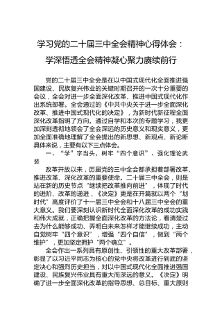 学习党的二十届三中全会精神心得体会：学深悟透全会精神凝心聚力赓续前行